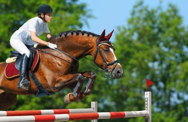 1290_Horse Jumping