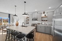 137966_Aspire at Orchard Park_Water Lily _Kitchen_Farmhouse_Palette 3_Aspire